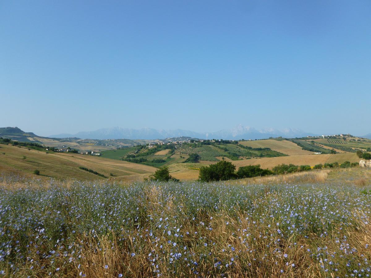 Il Frutteto Bed And Breakfast Ripattone Exterior foto