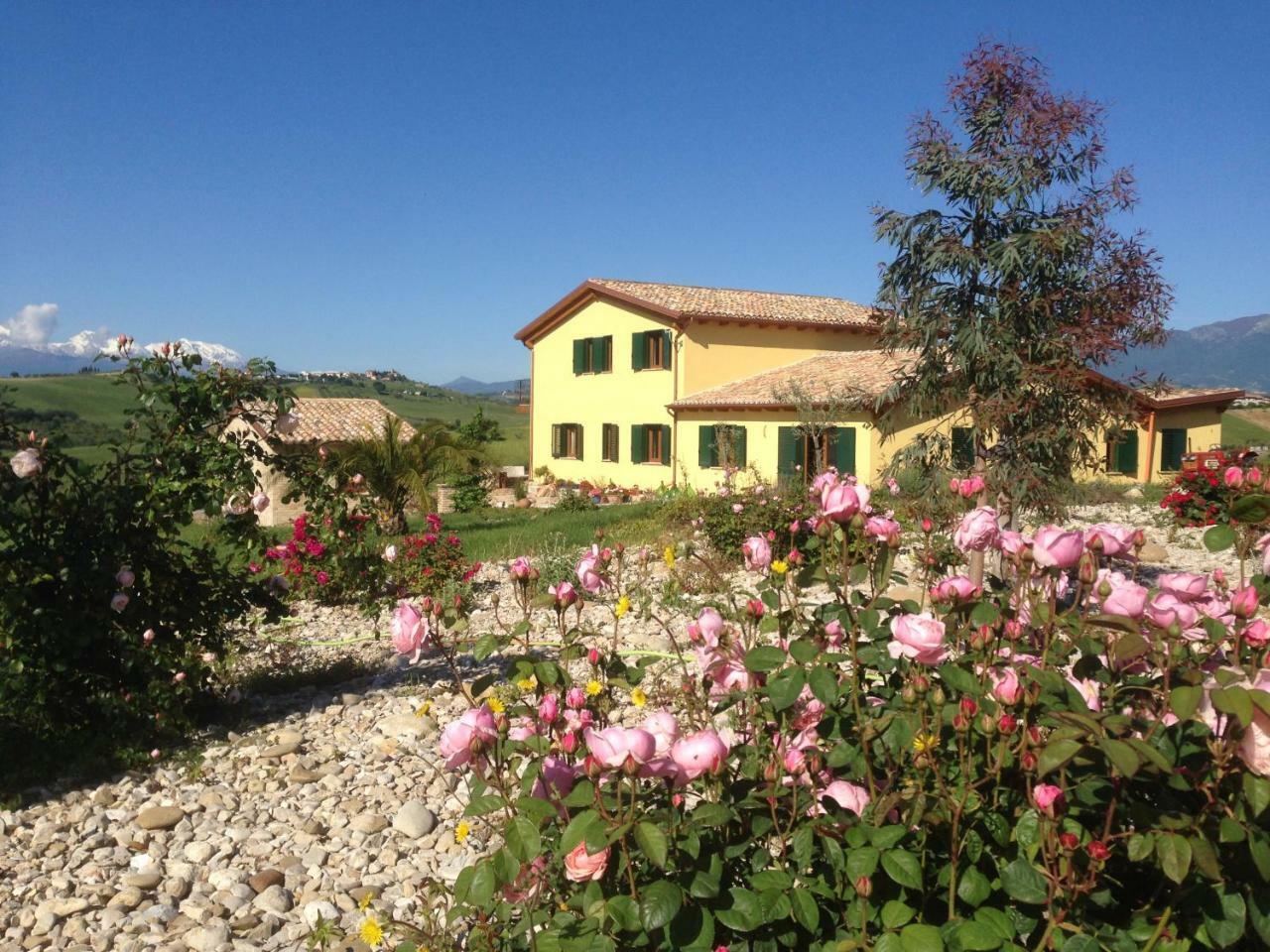 Il Frutteto Bed And Breakfast Ripattone Exterior foto